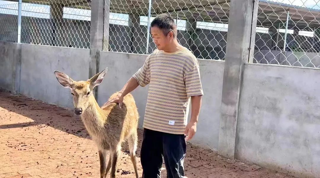 大发bet网页版